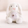 Personalised Big Sister Fairy Bunny Gift, thumbnail 3 of 6
