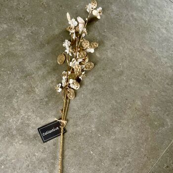 Ivory And Gold Honesty Stem, 4 of 5
