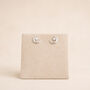 Sterling Silver Moon And Star Stud Earrings, thumbnail 3 of 4