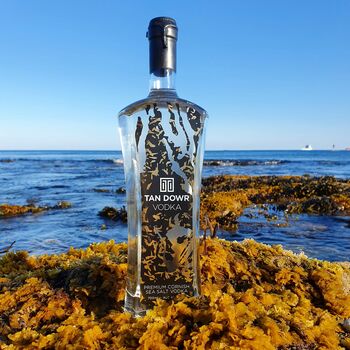 Tan Dowr Premium Cornish Sea Salt Vodka, 6 of 8