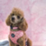 Dusky Pink Daisies Floral Dog Harness, thumbnail 6 of 9