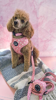 Dusky Pink Daisies Floral Dog Harness, 6 of 9