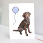 Chocolate Labrador Birthday Card | Labrador Card, thumbnail 1 of 3