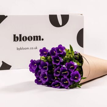 Purple Campanula Fresh Flower Bouquet, 2 of 3
