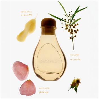 Mimosa Reed Diffuser 150ml, 4 of 6