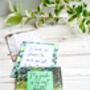 Gardener Gift: Tea Giftset For Gardeners, thumbnail 8 of 12