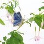 Butterflly Plant Hugger Decorations, thumbnail 2 of 8