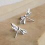 Sterling Silver Polished Dragonfly Stud Earrings, thumbnail 1 of 2