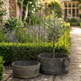 Margaux Domed Planter Collection, thumbnail 1 of 3