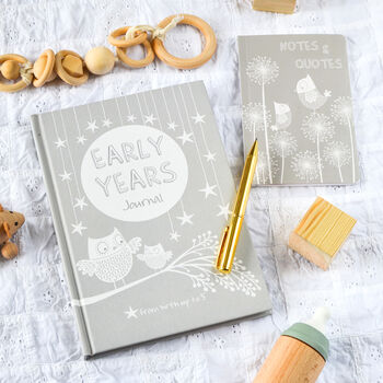 Early Years: Grey, Baby To Five Years Record Journal, 8 of 12