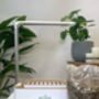 Acqua Smart Garden Two Hydroponic Growing System, thumbnail 3 of 5
