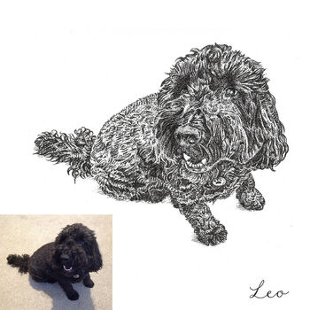 Personalised Pen And Ink Pet Portrait, 8 of 10
