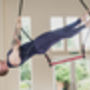 Static Trapeze Beginners Class For Two, thumbnail 2 of 4