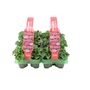 Cyclamen Flame Mixed 12 Plants Garden Ready Packs, thumbnail 1 of 5