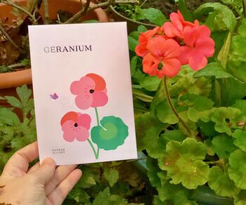 New Beginnings Gift Box With Seeds, Wax Melt And Inspirational Postcard Letterbox Gift, 7 of 10