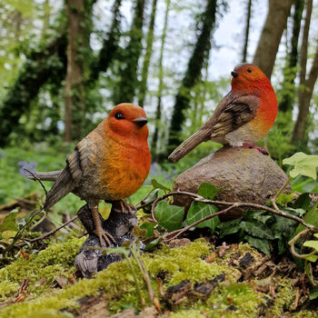 Pair Of Cute Robin Red Breast Garden Ornaments, 3 of 9