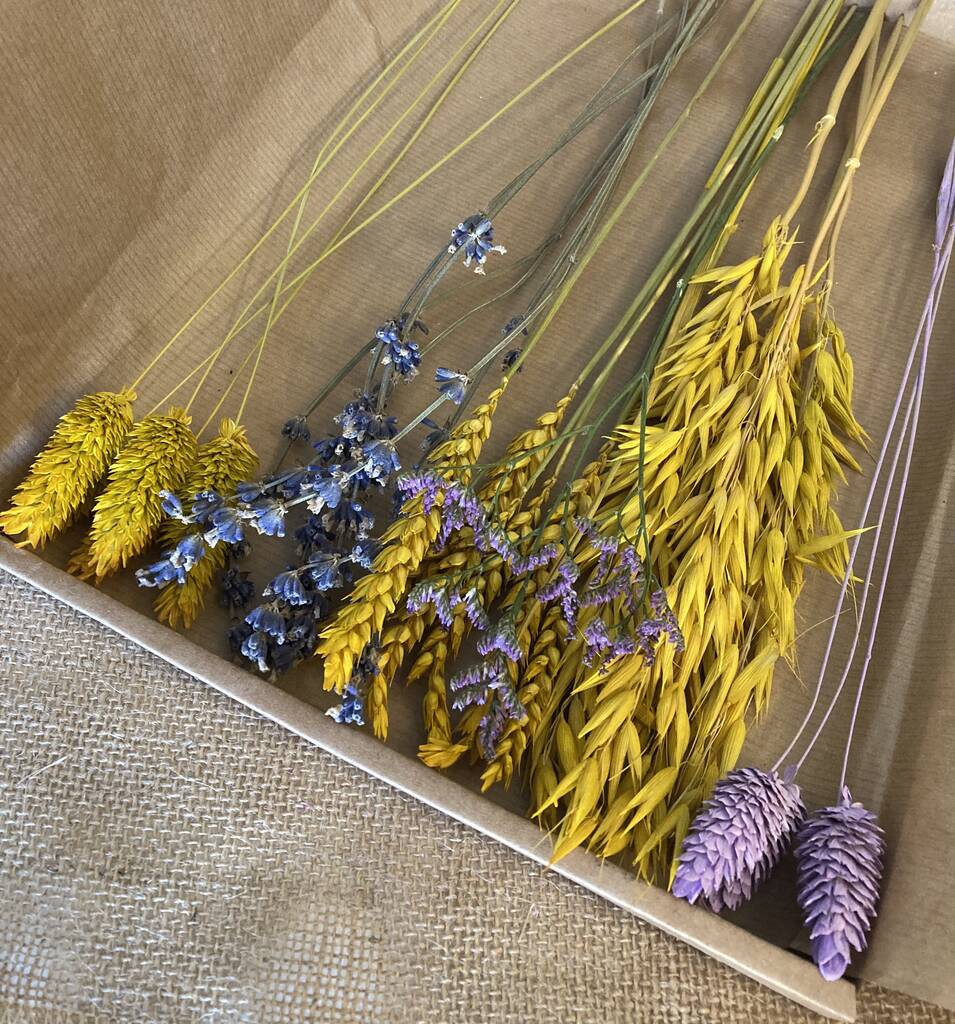 Purple And Yellow Dried Flowers Letterbox Gift By Zoe’s Blooms