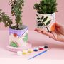 Handmade Jesmonite Paint Your Own Plant Pot Kit, thumbnail 3 of 6