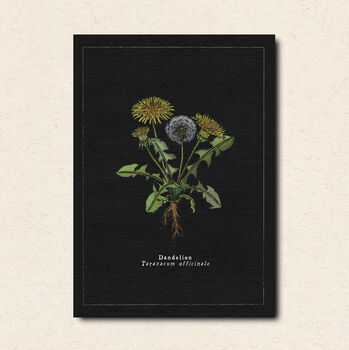Botanical Art Postcard Pack, 3 of 7