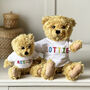 Traditional Personalised Teddy Bear, thumbnail 1 of 3