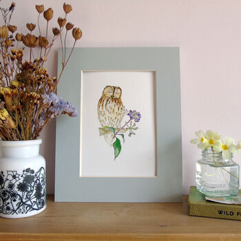 Tawny Owl And Ivy Berries Giclee Fine Art Print, 7 of 9