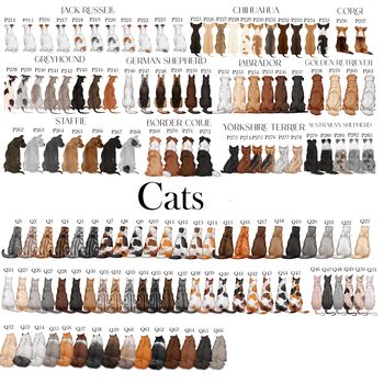 Cat Loss Card, 3 of 3