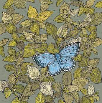 'Large Blue Butterfly' Print, 3 of 3