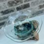 Handcrafted Teak Root And Molten Glass Bowl Wooden Flower, thumbnail 9 of 10