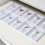 Shark Tooth Fossil Otodus, thumbnail 2 of 12