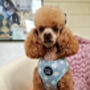 Little Pastel Green Daisies Dog Harness, thumbnail 7 of 11