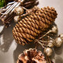 Woodland Sparkle Natural Christmas Garland, thumbnail 5 of 5