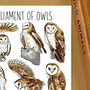 Barn Owls Wildlife Watercolour Postcard, thumbnail 6 of 9