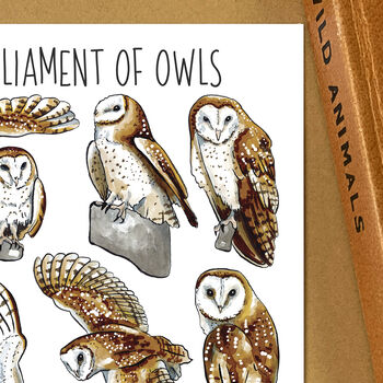 Barn Owls Wildlife Watercolour Postcard, 6 of 9