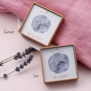 Star Sign Constellation Earrings Studs, 5 of 9