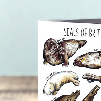 Seals Of Britain Greeting Card, 3 of 7