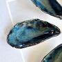 Porcelain Glazed Sea Shell Wall Art: Mussels, thumbnail 5 of 5