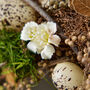 Natural Easter Wreath, thumbnail 6 of 6