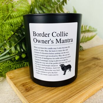 Fun Personalised Border Collie Owner Affirmation Candle, 4 of 11