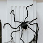 Halloween Black Spider Decoration 60cm, thumbnail 1 of 4