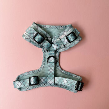 Dog Harness Padded Adjustable In Sage Green Check, 4 of 11