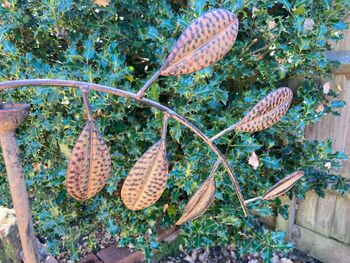 128cm Robin Wind Spinner Metal Garden Statue Memorial Gift, 5 of 8