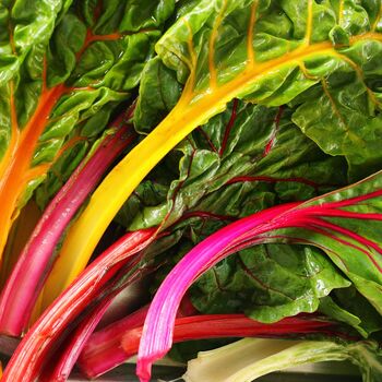 Vegetable Plants Chard 'Rainbow' 12 X Plant Pack, 3 of 5