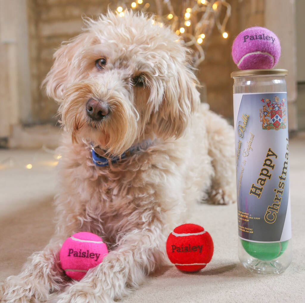 Personalised Dog Tennis Balls, 1 of 12