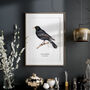 Wall Print Of A Blackbird, thumbnail 4 of 6