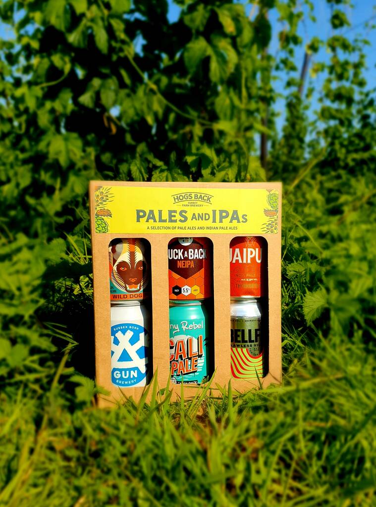Craft Pale Ale And Ipa Beer Selection Pack By Hogs Back Brewery