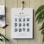 Edible Botany Field Notes Month View Calendar, thumbnail 1 of 3