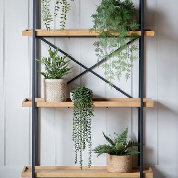 String Of Pearls In Soil, 2 of 5