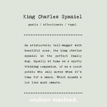 Funny King Charles Spaniel Silhouette Dog Card, 2 of 6