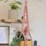 Diy Macrame Plant Hanger Kit, thumbnail 10 of 10