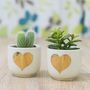 Gold Heart Mini Planter With A Succulent Or Cacti, thumbnail 1 of 7